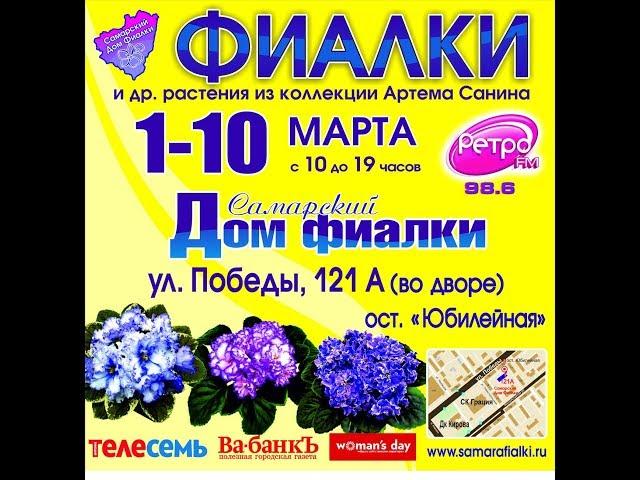 Выставка фиалок в марте,Самарский Дом Фиалки.