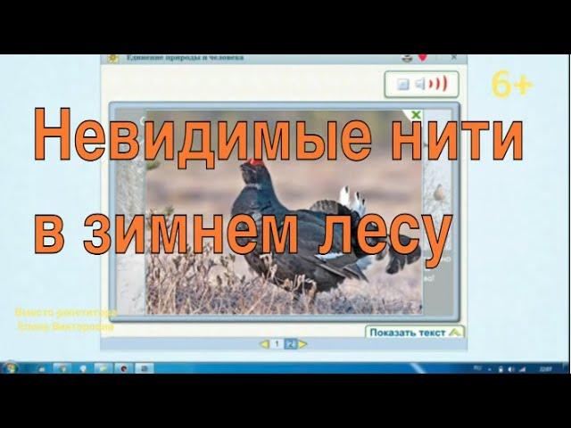 Невидимые нити в природе зимой