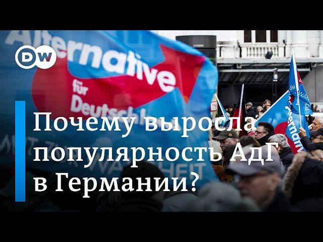 Почему в Германии вырос рейтинг правопопулистской партии АдГ?