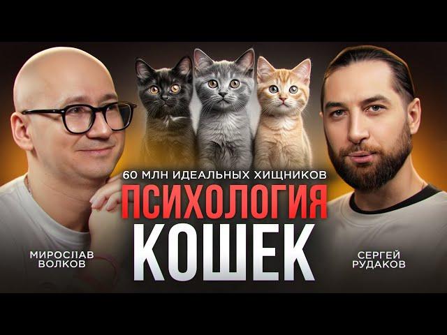 Психология кошек – Поведение, ночные тыгыдыки и многое другое с Мирославом Волковым, зоопсихологом