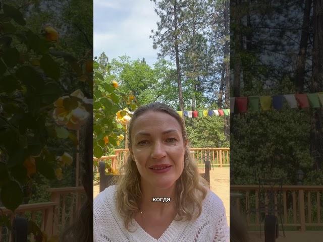 Переживания божественного во время коры вокруг Кайласа
