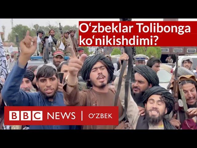 Толибон ўзбеклар ҳаётини нима қилди? Афғонистон BBC News O'zbek Dunyo yangiliklar