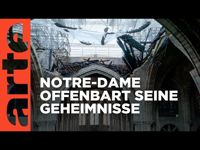 Notre-Dame, die Jahrhundertbaustelle - Harmonie der Kräfte (2/3) | Doku HD Reupload | ARTE