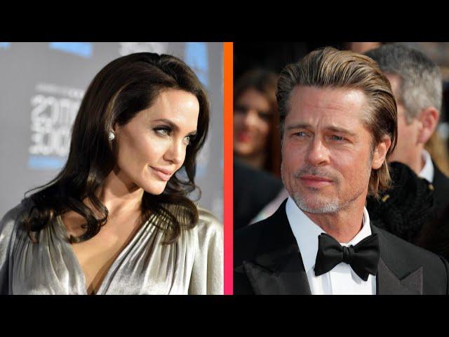 Brad Pitt Is SUING Angelina Jolie for Selling Their Winery to Russian Oligarch