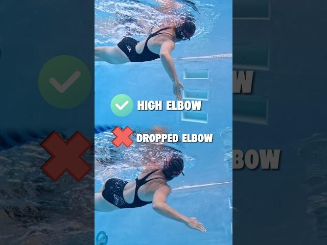 HIGH elbow vs DROPPED elbow #swimming #swimmer #swim #triathlontraining