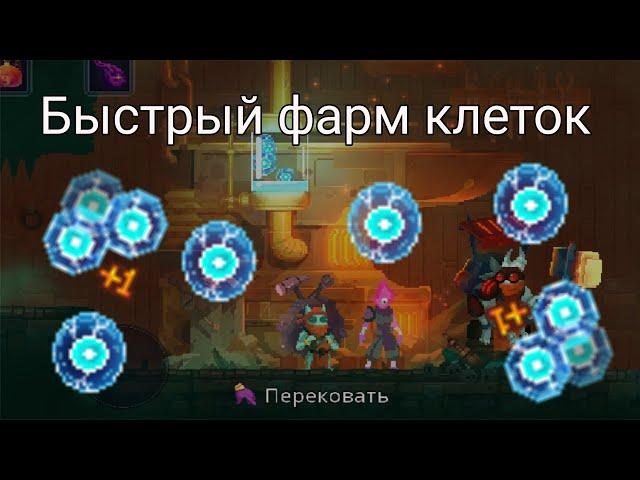 Как быстро улучшить кузницу и открыть вещи в Dead Cells? // Dead Cells