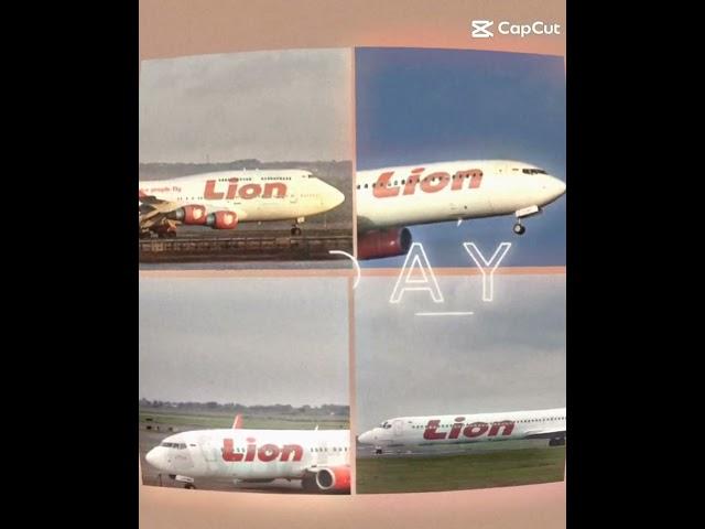 Editing my own plane (Lionn air)