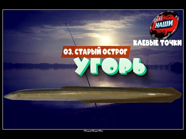 НАШИ КЛЕВЫЕ ТОЧКИ - Русская рыбалка 4 | Угорь на о. Старый Острог 06 60