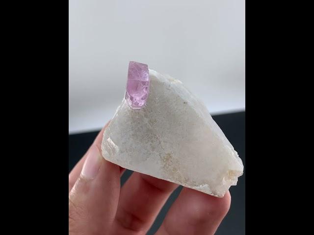 Pink Kunzite Crystal Positioned on White Albite Matrix from Afghanistan #kunzite #minerals #crystals