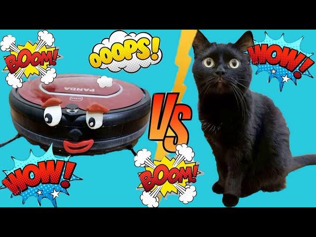 ROBOT vacuum cleaner against cats