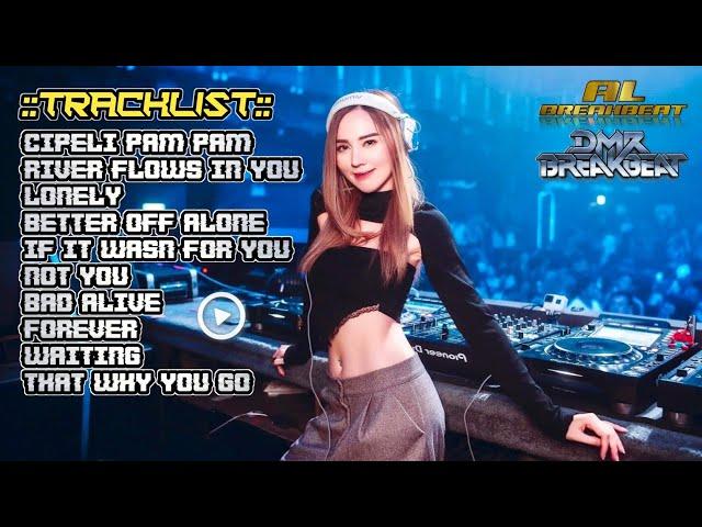 DJ PARTY CIPELI PAM PAM x RIVER FLOWS IN YOU | BREAKBEAT 2024 AUTO KENEE BOSS KUU ft DMR BREAKBEAT