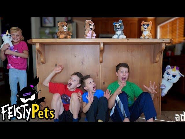 Ninja Night SPOOKY Fun with Feisty Pets!