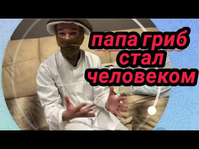 ПАПА ГРИБ СТАЛ ЧЕЛОВЕКОМ!ПАПА ГРИБ ВЫПИЛ АНТИГРИББИН!