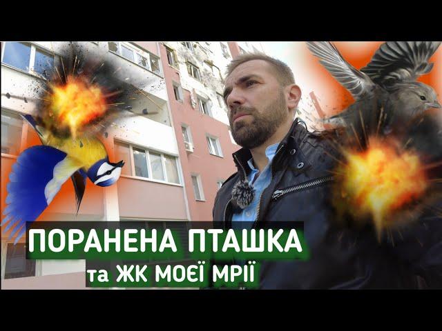 Поранена пташка та ЖК моєї мрії. Салтівка після обстрілів.