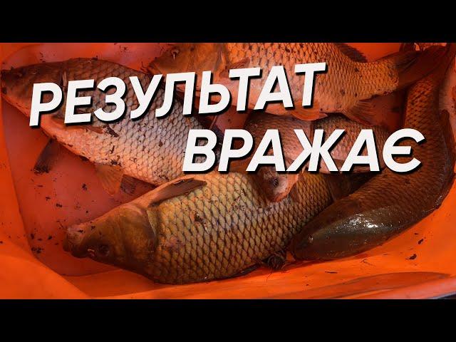 Сама коротка КОРОПОВА сесія КОРОПИ ЯК КОНІ КАРАСІ ЯК КАРТУЗИ платна водойма 