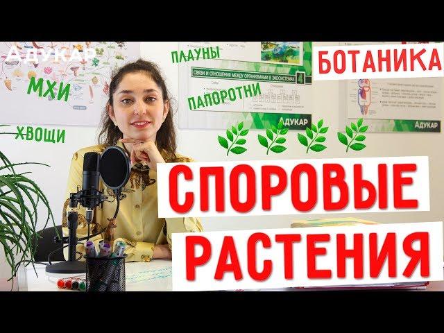 Споровые растения (мхи, хвощи, плауны, папоротники) | Биология ЦТ, ЕГЭ