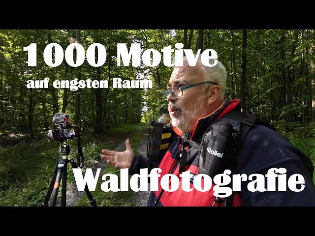 Waldfotografie | 1000 Motive auf engsten Raum sehen | und ein neuer Fotorucksack im ersten Test