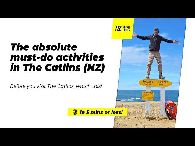 ️ The absolute must-do activities in The Catlins NZ - NZPocketGuide.com