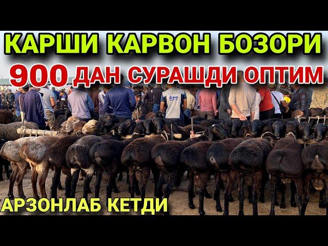 КУЙ КУЗИ НАРХЛАРИ. 25 МАЯ КАШКАДАРЁ ВИЛОЯТИ КАРШИ КАРВОН МОЛ БОЗОРИ НАРХЛАРИ 2025.