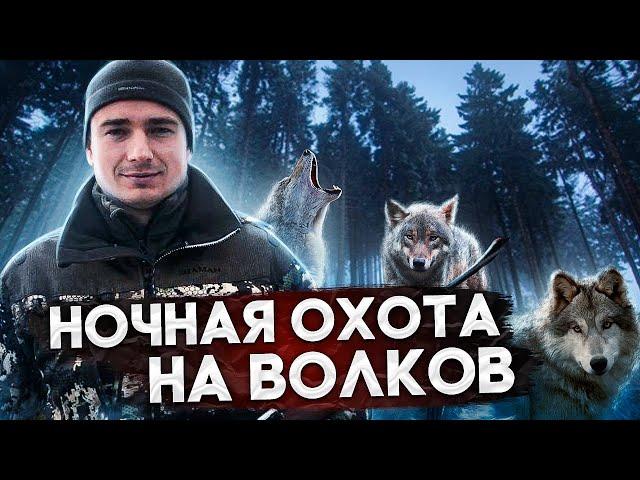 Стая Волков нападает на охотника. Охота на волка.A pack of Wolves attacks the hunter. Wolf hunting.