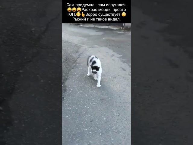 рыжик