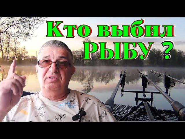 Кто выбил рыбу ?