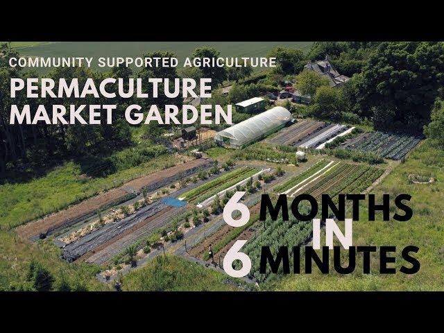 CSA MARKET GARDEN & PERMACULTURE FARM | 6 months in 6 minutes