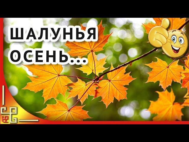 Шалунья осень придет не спросит...Красивый осенний шансон! Музыка для души