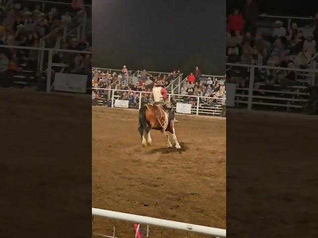 bucking bronc, Last Stand Rodeo 2025