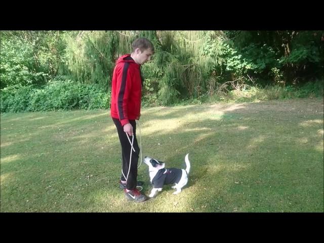 Katrin shows a few Amazing Dog Tricks