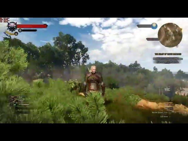 The Witcher 3 Wild Hunt - I5 4460 - GTX 950 - 1080p