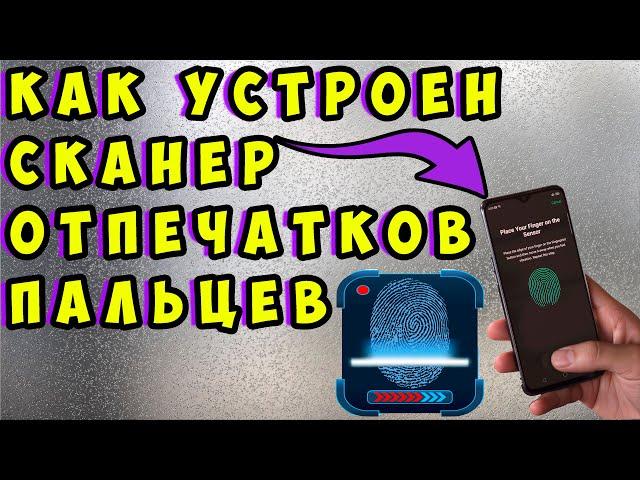  Как устроен сканер отпечатка пальцев на телефоне. Виды сканеров. Как работает сканер на телефоне.