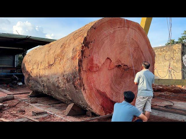 Wood Cutting Skills // Cutting The World's Largest Oak Tree With A Giant Chainsaw