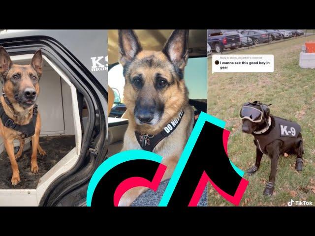 The Most Coolest k9 Police Dog TikTok Compilation | Dogs Of TikTok