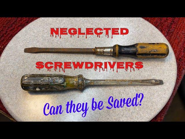 Screwdriver Rescue!  Can they be saved?