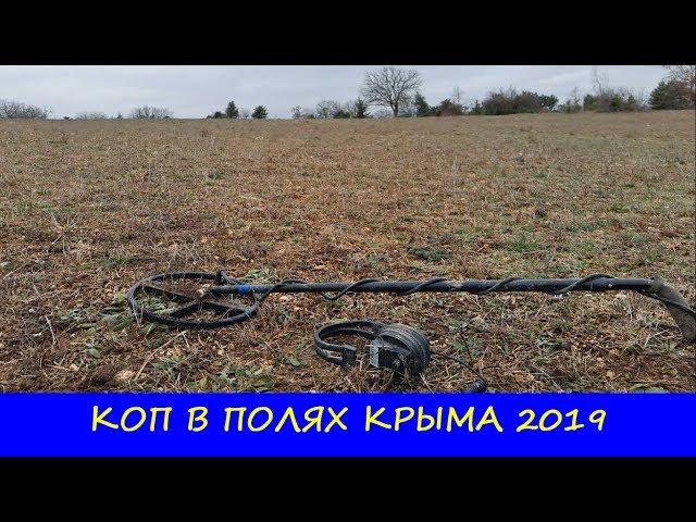 КОП В ПОЛЯХ КРЫМА 2019