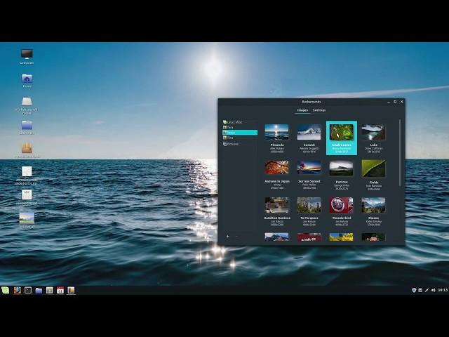 Linux Mint | This is my Desktop. A quick look around.