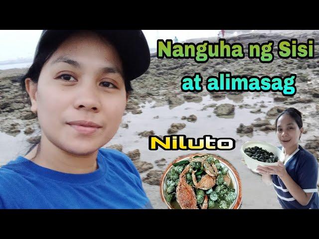 SISI AT ALIMASAG SA DAGAT | SEASIDE SALMIYA | KUWAIT