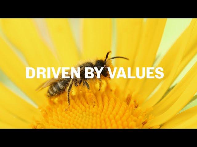Driven by Values | MaRS Discovery District