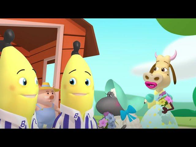 Flowers For Everybody | Bananas In Pyjamas