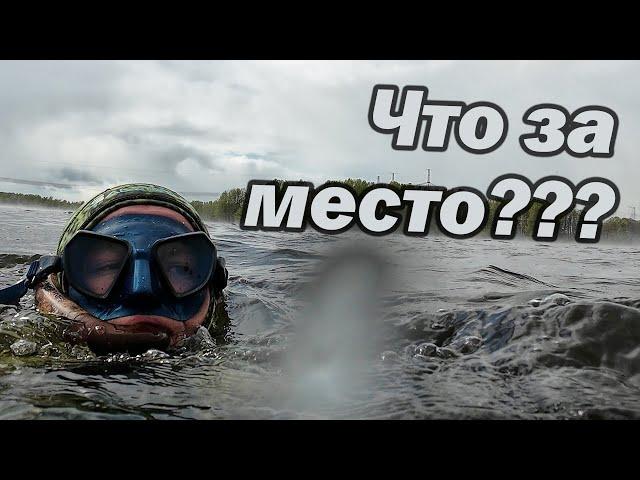 ИХ ДАЖЕ МОЖНО ЛОВИТЬ РУКАМИ!! ОХОТА В ЗАПРЕТ!!!