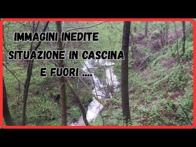 facciamo un giro in cascina e fuori, aggiornamento 17 aprile 2025 dopo queste forti piogge