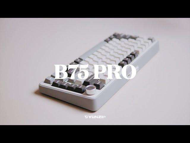 YUNZII「B75 PRO」