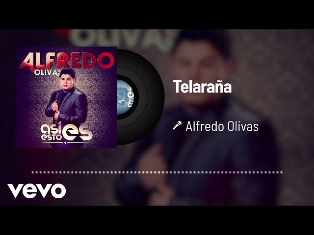 Alfredo Olivas - Telaraña (Audio)