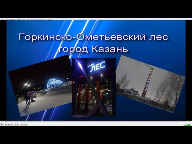 КАЗАНЬ. Горкинско - Ометьевский лес.