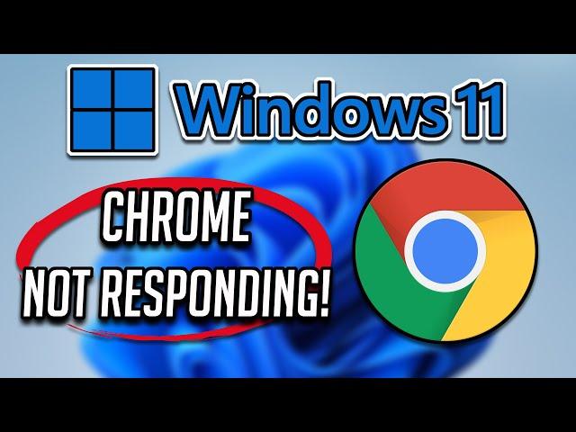 Google Chrome Not Responding in Windows 11/10/8/7 - [2025 Tutorial]