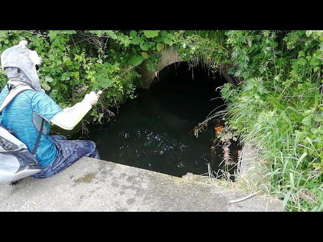 Hidden Tiny Tunnel Fishing Challenge !!