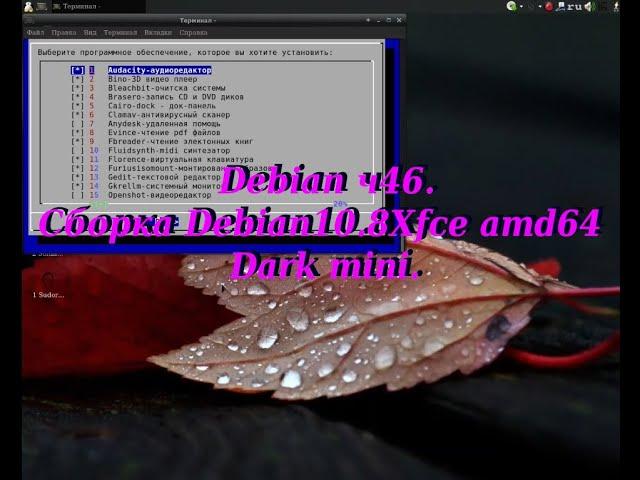 Debian ч46. Cборка Debian10.8Xfce_amd64-Dark_mini.