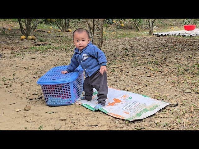 Full Video: 30 days of a single mother's life helping and caring for an abandoned baby- Ly Tieu Mai