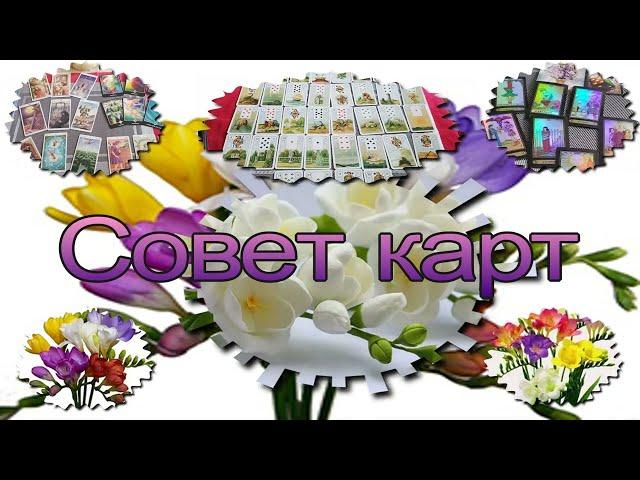 Карты Ленорман:" Крысы-Мыши" - значение и сочетание с другими картами